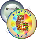 Przypinki wzorowego ucznia