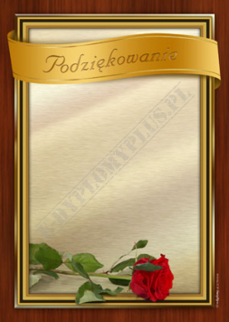 Podziękowanie 