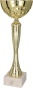 Puchar 18,5 cm złoty