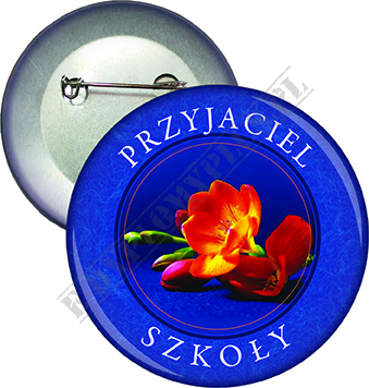 Przypinka 